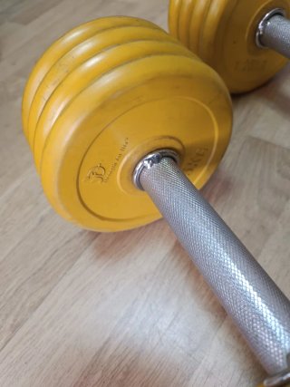 Mancuernas 10kg (par)