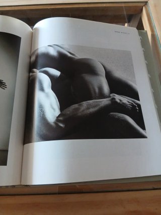 Apolo