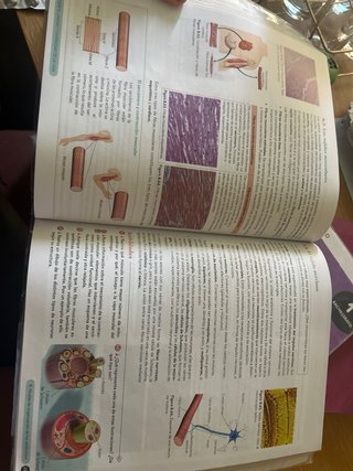 Biología, Geología y CC. Ambientales 1º Bachill...