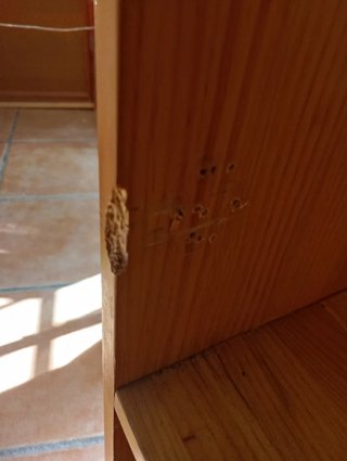 Armario de madera maciza