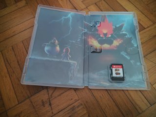 Super Mario 3D World + Bowser's Fury Switch