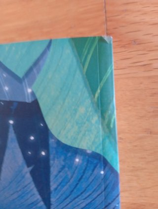Libro SM: Las lágrimas de Naraguyá Gran Angular