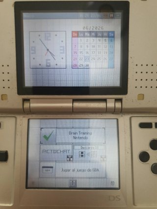 Nintendo DS Argento + 2 Giochi Brain Training