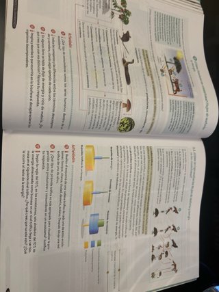 Biología y Geología 1º ESO. Libro del estudiant...