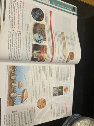 Biología y Geología 1º ESO. Libro del estudiant...
