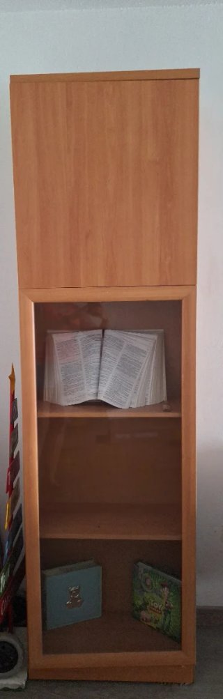 Vitrina de madera y cristal