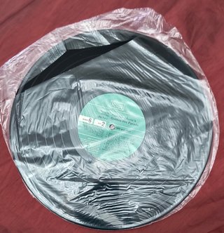 Popular Music's Golden Hit Parade 1968-69 Record 6