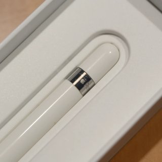 Apple Pencil 1ª Generación