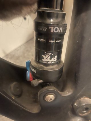 Scott Scale Carbono