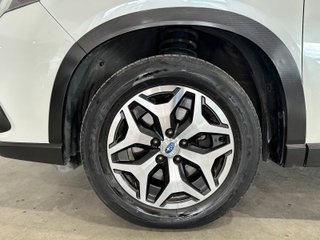 Subaru FORESTER 2.0I HYBRID CVT EXECUTIVE PLUS (2023)