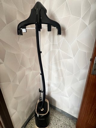 Plancha de vapor Rowenta