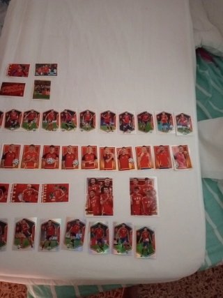 Cromos Panini Carrefour