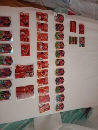 Cromos Panini Carrefour