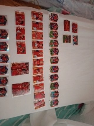 Cromos Panini Carrefour