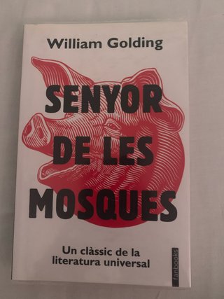 Senyor de les mosques