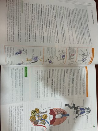 Biología, Geología y Ciencias Ambientales 1 Bach