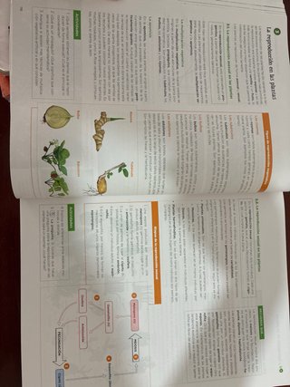 Biología, Geología y Ciencias Ambientales 1 Bach