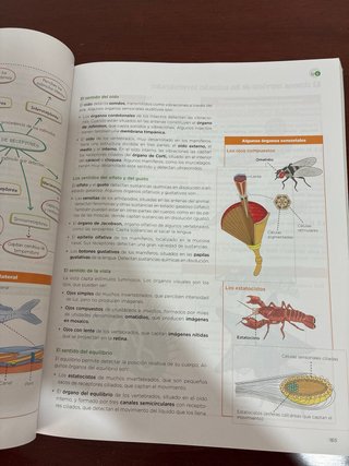 Biología, Geología y Ciencias Ambientales 1 Bach