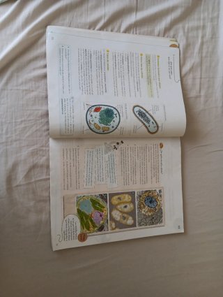 Ciencias de la Naturaleza, 5 Primaria