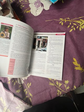 Lengua castellana y literatura, 2 Bachillerato