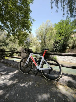 Trek Madone