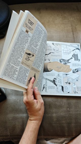 Libro "Guía para los amantes de la naturaleza"