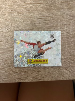 Cromos Panini Mundial Fútbol