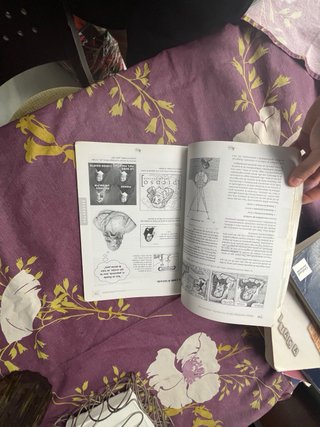 Historia de la filosofía, PEBAU, Andalucía