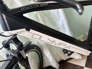 Bicicleta Eléctrica Olympia Montaña
