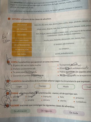 Lengua castellana, 5 Primaria