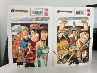 One Piece (3 en 1) 12 y 13
