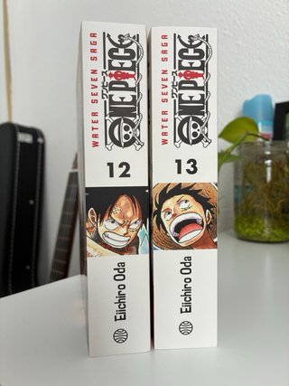 One Piece (3 en 1) 12 y 13