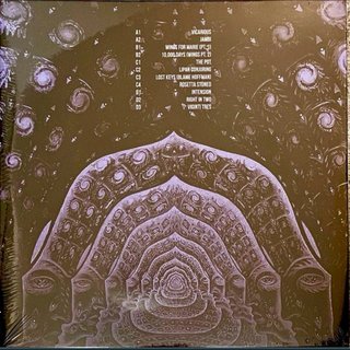 Pink Floyd The Division Bell Vinilo Picture Disc
