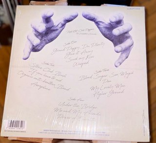 Pink Floyd The Division Bell Vinilo Picture Disc