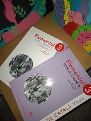Elemental 3 curs comunicatiu de català : enfoca...