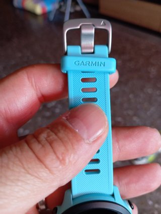 Garmin Forerunner 55 Azul