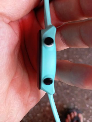 Garmin Forerunner 55 Azul