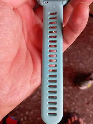 Garmin Forerunner 55 Azul