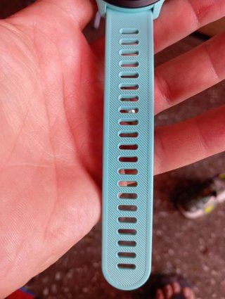 Garmin Forerunner 55 Azul