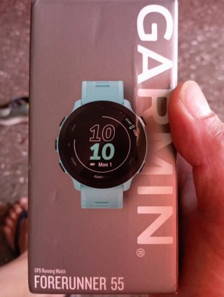 Garmin Forerunner 55 Azul
