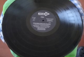 Disco Vinilo LP The Wilburn Brothers