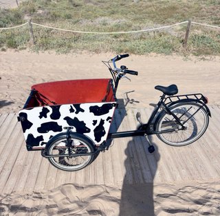 Bicicleta Cargo Bakfiets COMO NUEVA