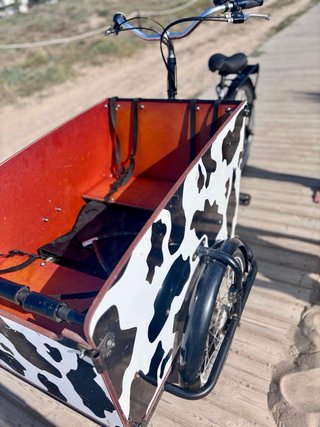 Bicicleta Cargo Bakfiets COMO NUEVA
