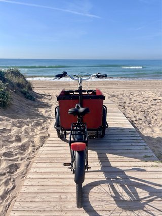 Bicicleta Cargo Bakfiets COMO NUEVA