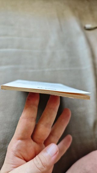Libro "Las tumbas de Saint-Denis" - Alejandro Duma