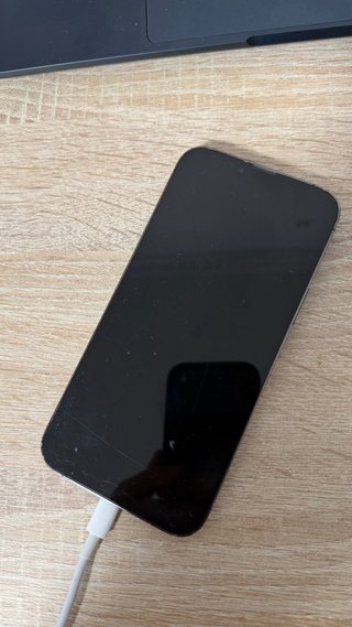 iPhone 13 Pro Max 256GB Gris