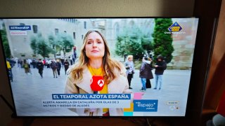 TV TCL 55 Negro/Gris