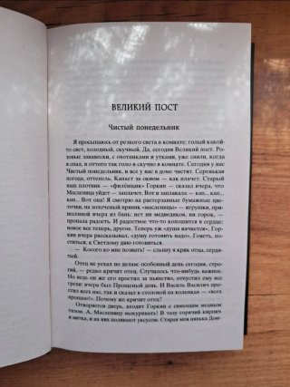 Libro en ruso