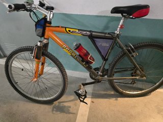 Bicicleta de Montaña