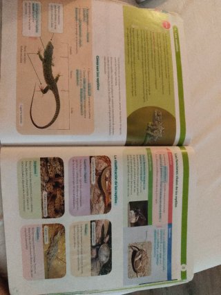 Biología y geología 1 ESO Construyendo Mundos V...
